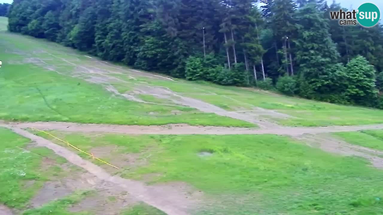 Web Camera Pohorje Trikotna Jasa | Poštela