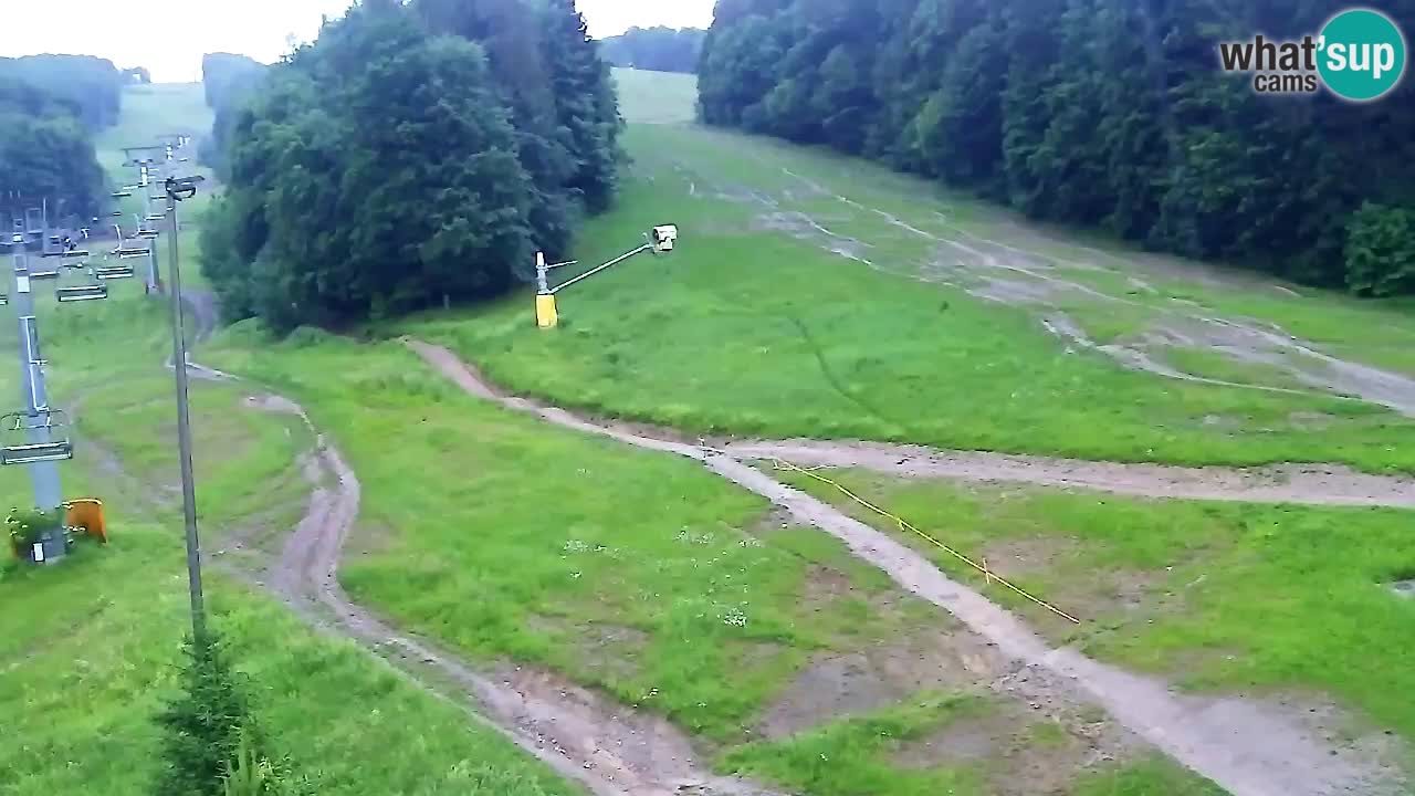 Webcam Pohorje Trikotna Jasa | Poštela