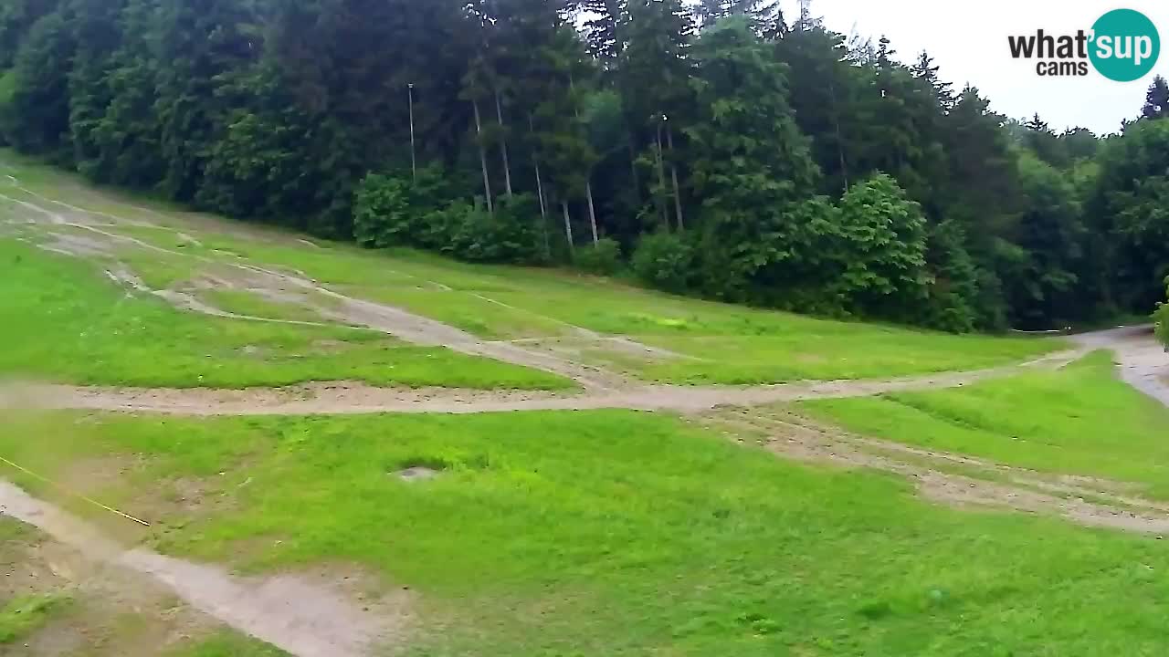 Web Camera Pohorje Trikotna Jasa | Poštela