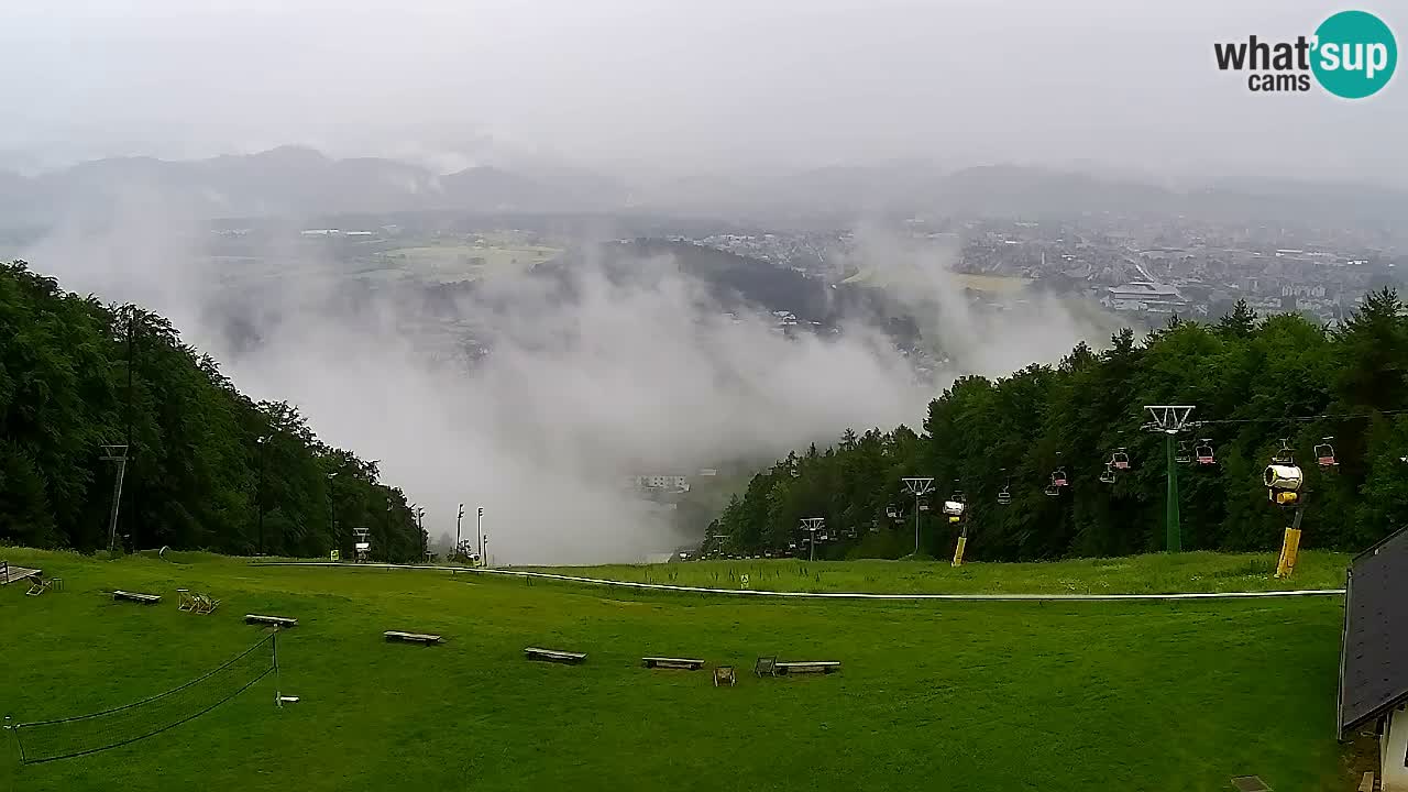 Webcam Pohorje Trikotna Jasa | Poštela