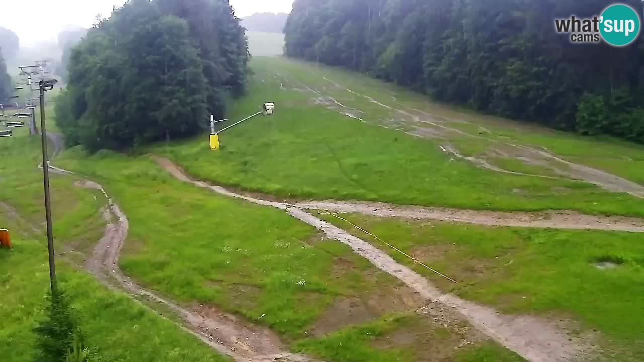 Webcam Pohorje Trikotna Jasa | Poštela