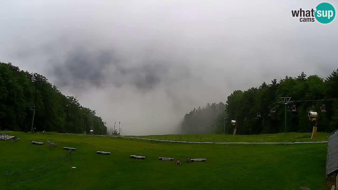 Webcam Pohorje Trikotna Jasa | Poštela