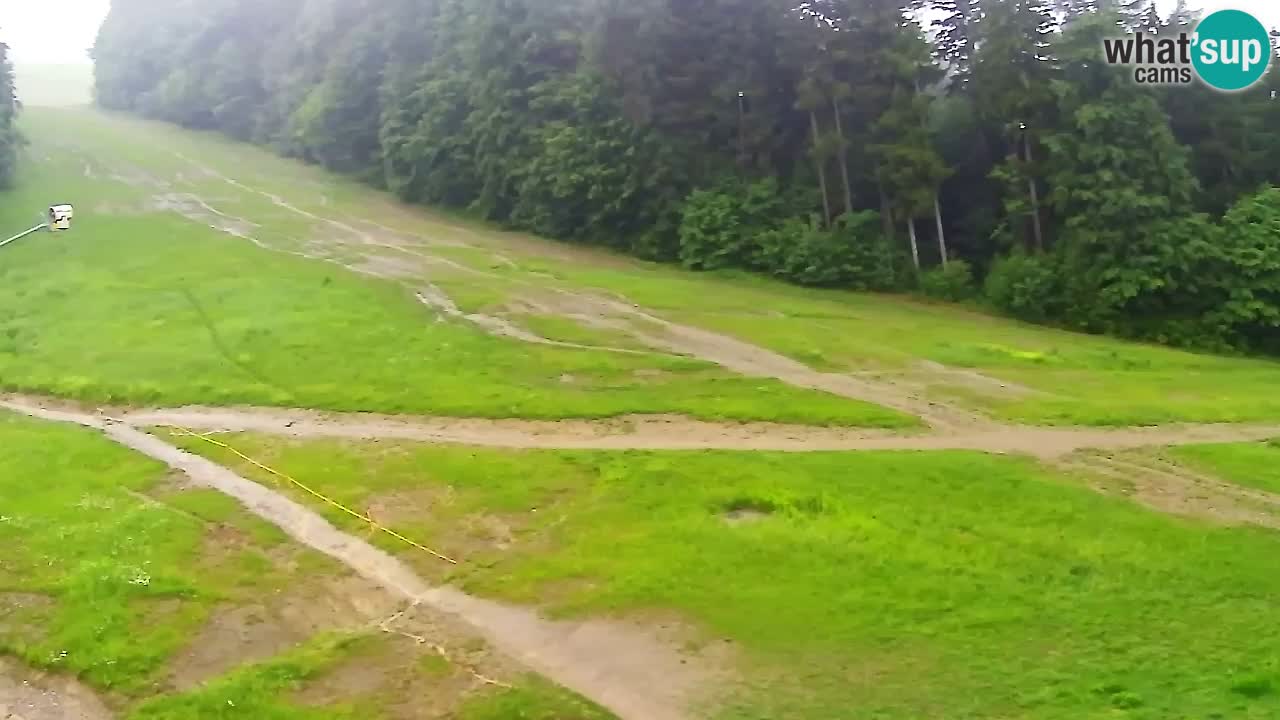 Web Camera Pohorje Trikotna Jasa | Poštela