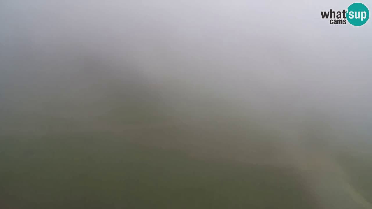 Web Camera Pohorje Trikotna Jasa | Poštela