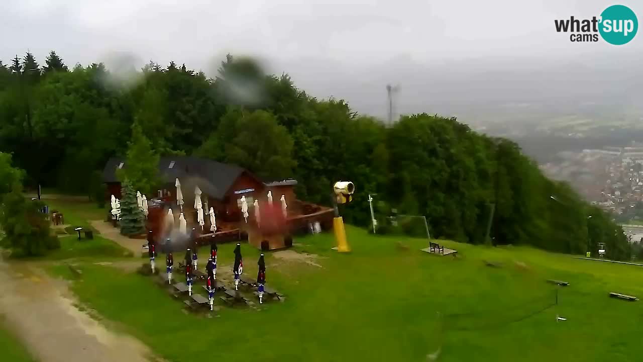 Webcam Pohorje Trikotna Jasa | Poštela