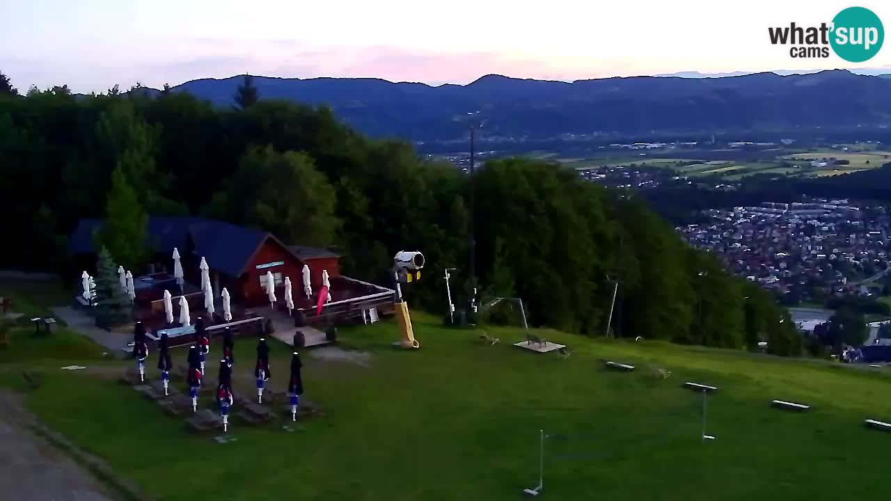 Web Camera Pohorje Trikotna Jasa | Poštela