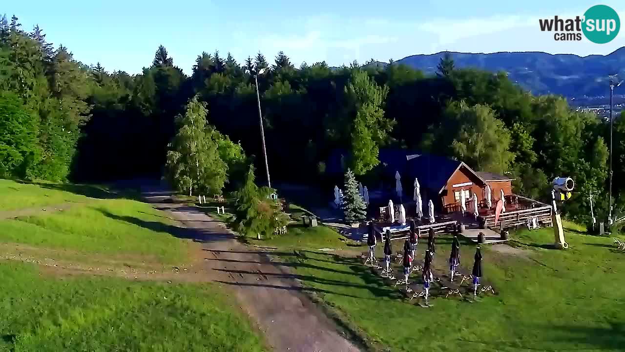 Webcam Pohorje Trikotna Jasa | Poštela