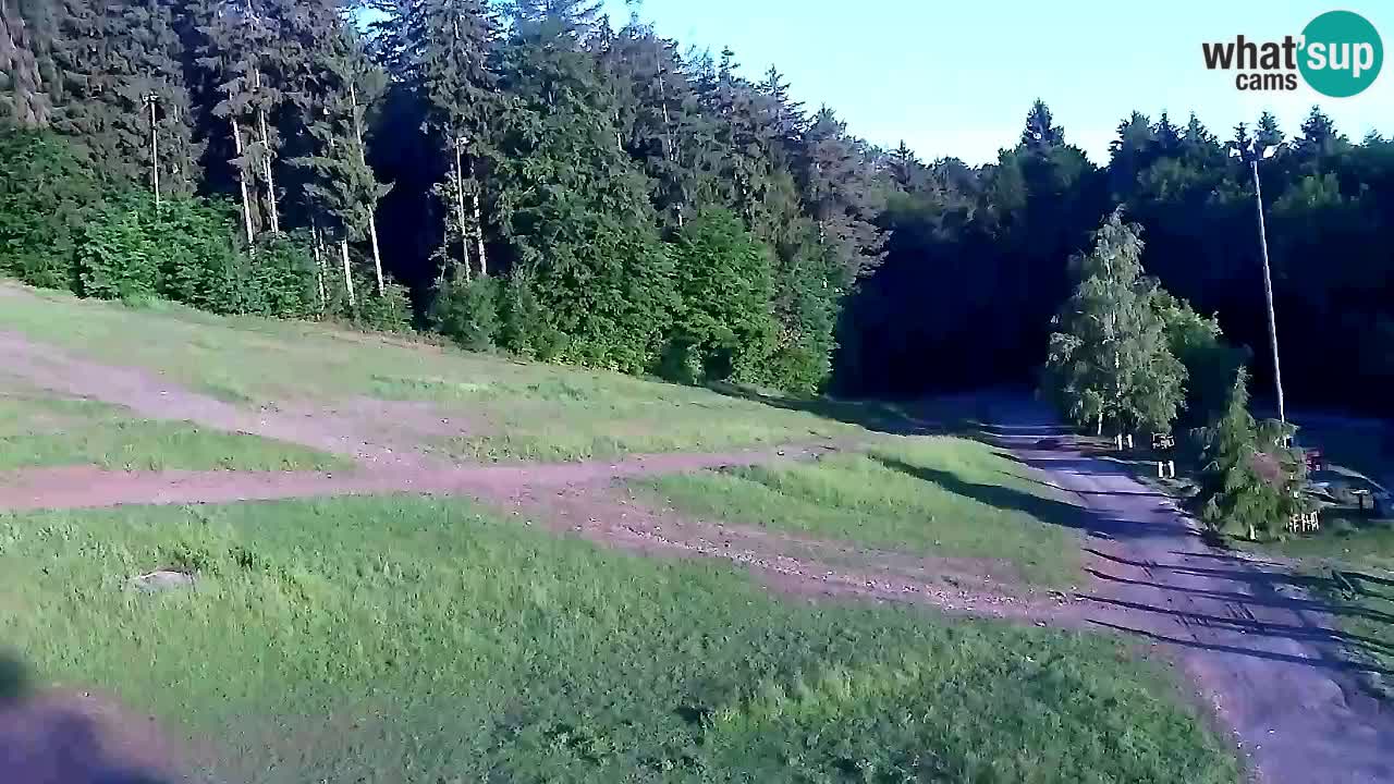 Webcam Pohorje Trikotna Jasa | Poštela