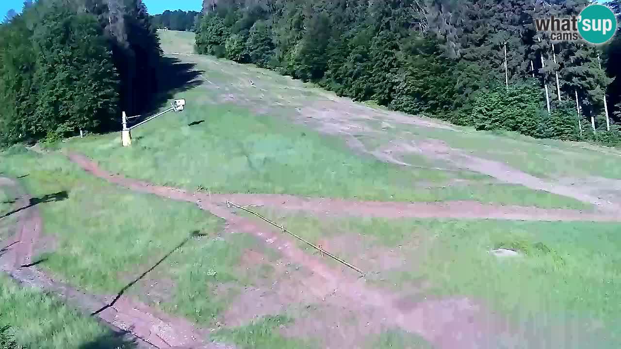 Webcam Pohorje Trikotna Jasa | Poštela