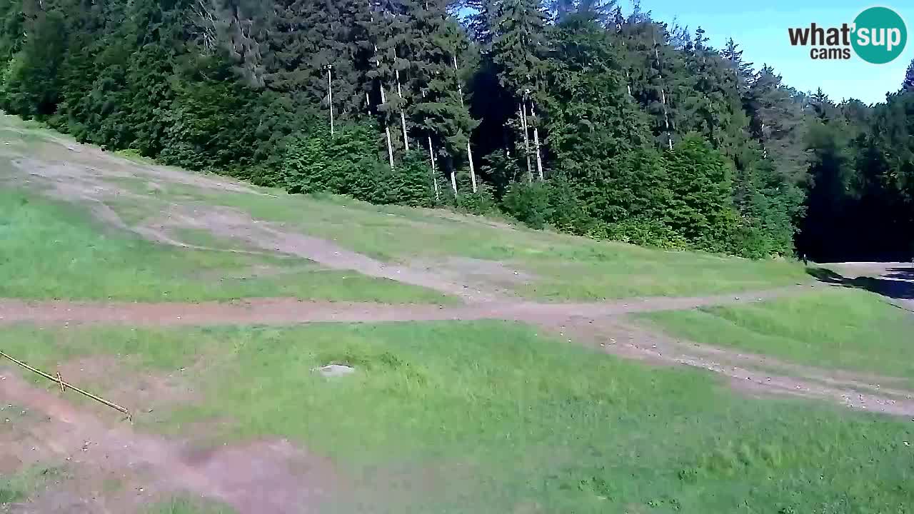 Webcam Pohorje Trikotna Jasa | Poštela