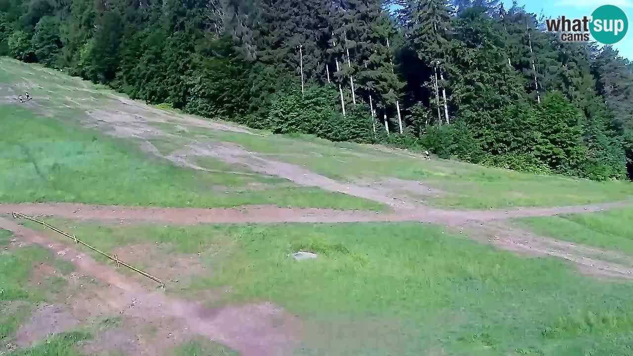 Webcam Pohorje Trikotna Jasa | Poštela
