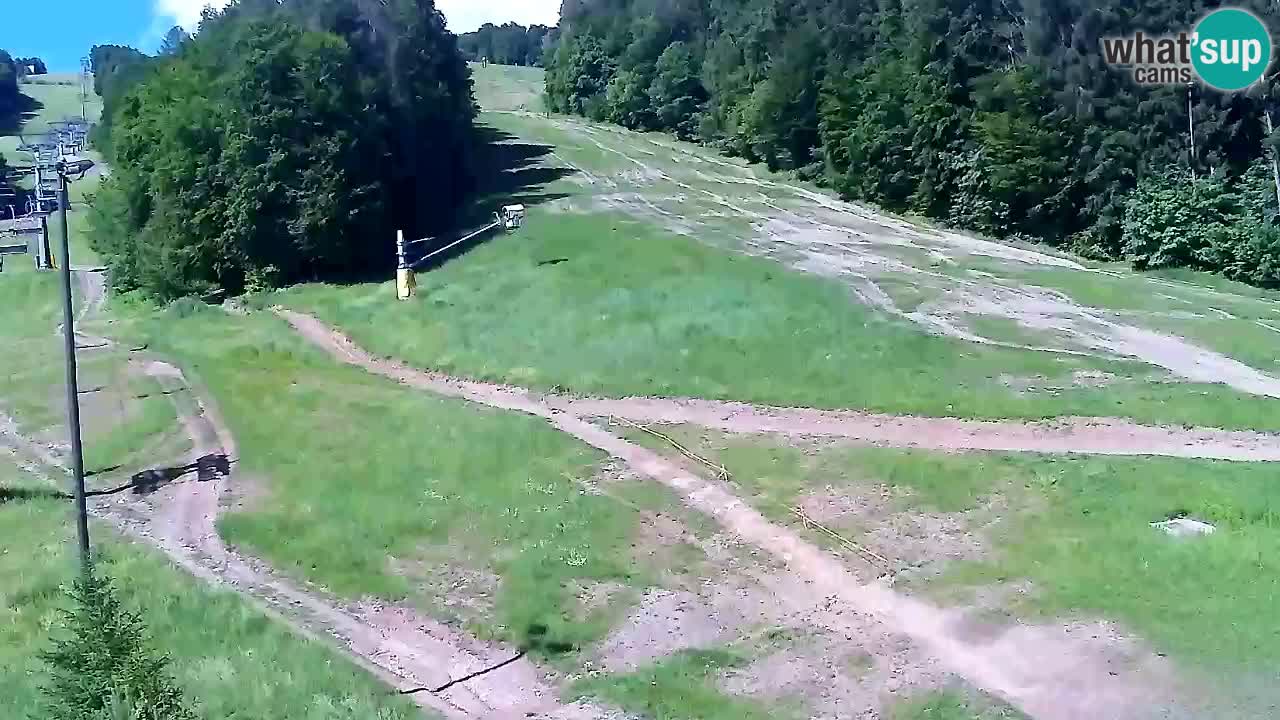 Webcam Pohorje Trikotna Jasa | Poštela