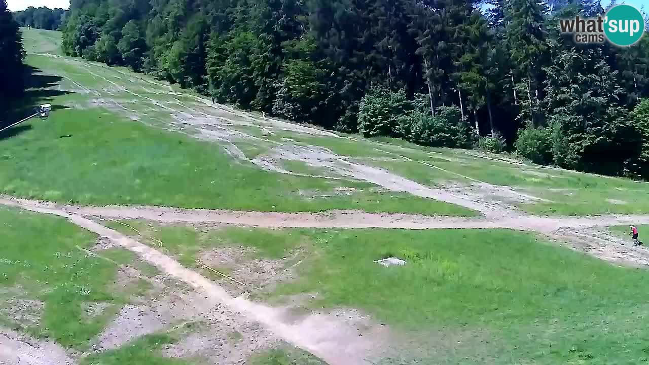 Webcam Pohorje Trikotna Jasa | Poštela