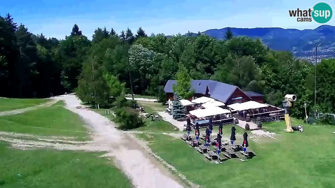 Web Camera Pohorje Trikotna Jasa | Poštela