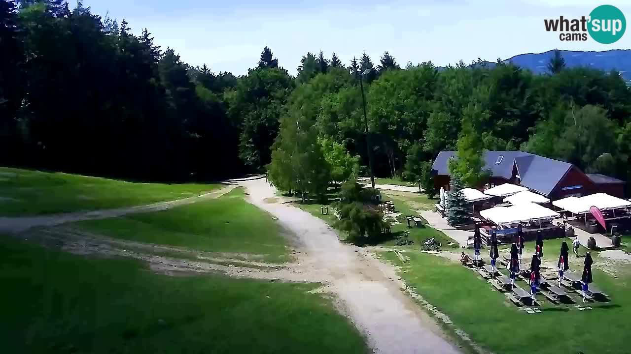 Web Camera Pohorje Trikotna Jasa | Poštela