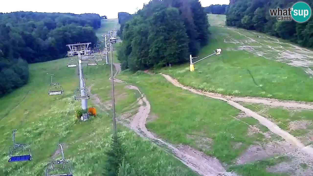 Webcam Pohorje Trikotna Jasa | Poštela