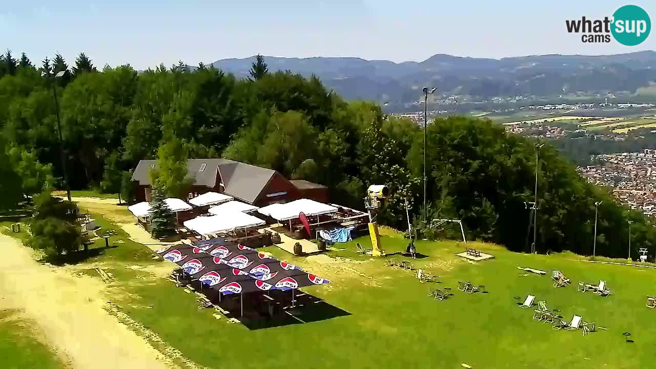 Webcam Pohorje Trikotna Jasa | Poštela