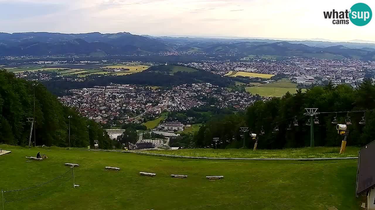 Webcam Pohorje Trikotna Jasa | Poštela