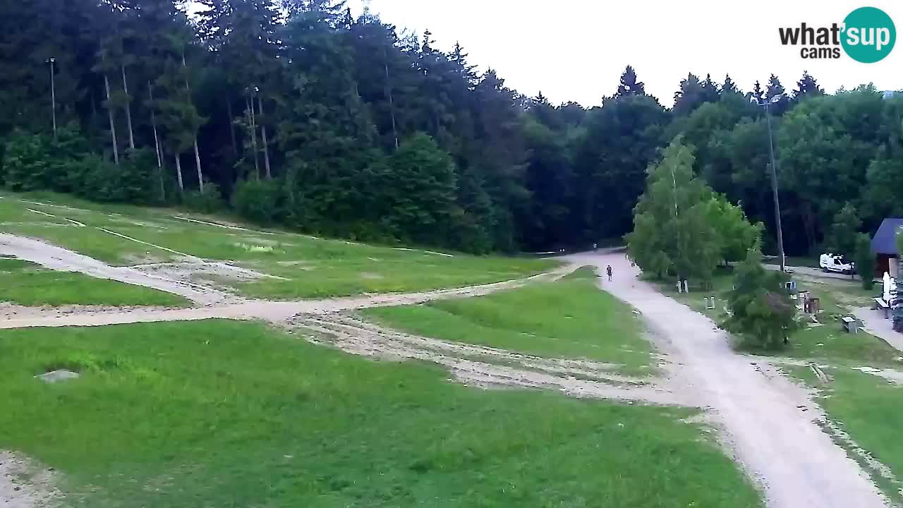 Web kamera Pohorje Trikotna Jasa | Poštela