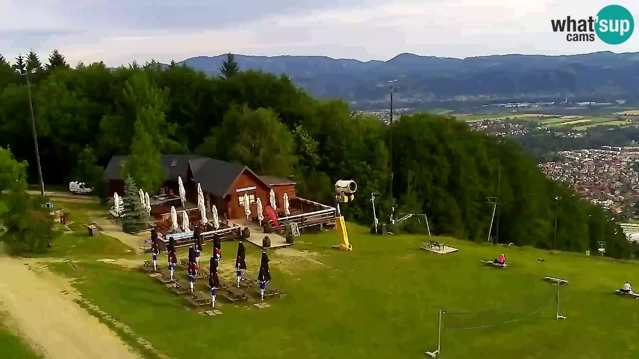 Web Camera Pohorje Trikotna Jasa | Poštela