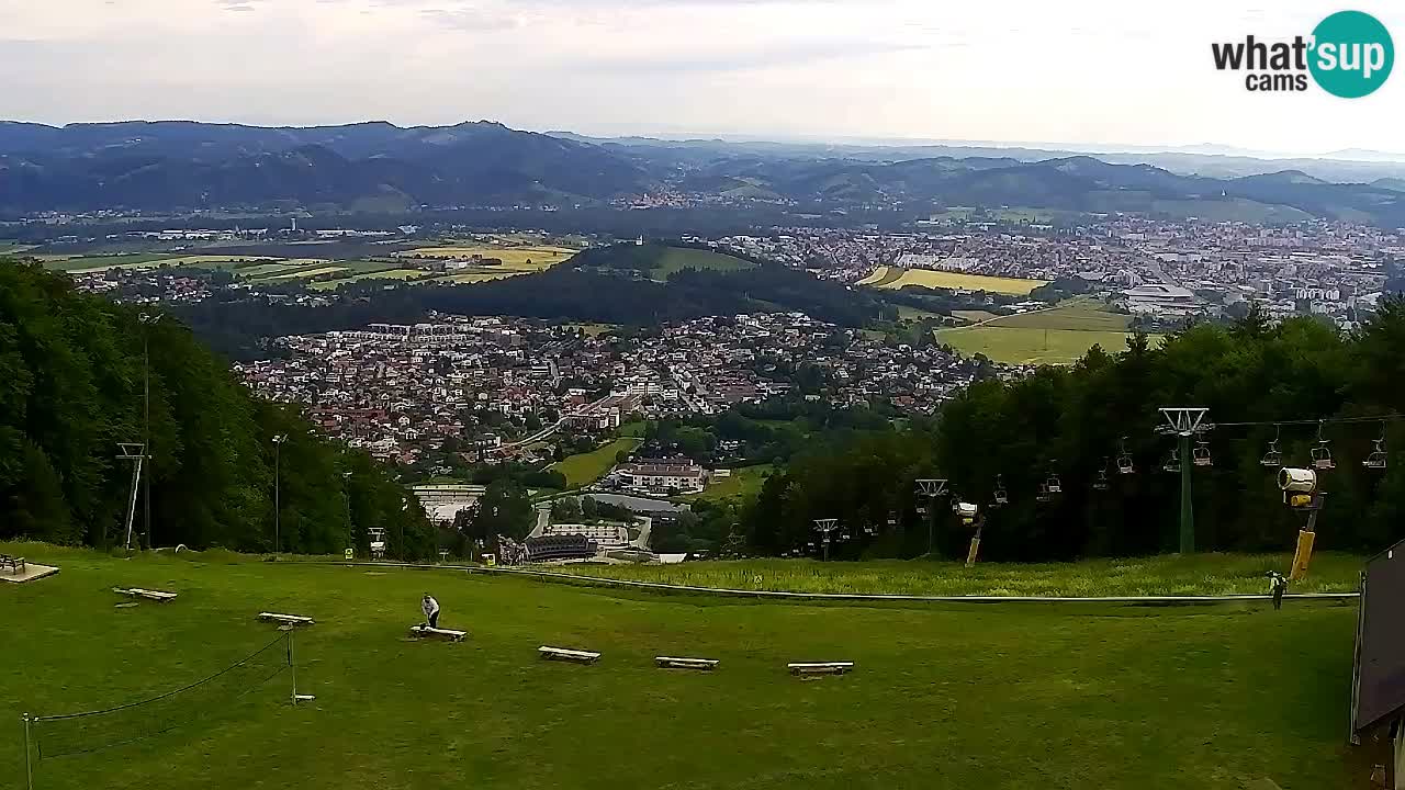 Webcam Pohorje Trikotna Jasa | Poštela