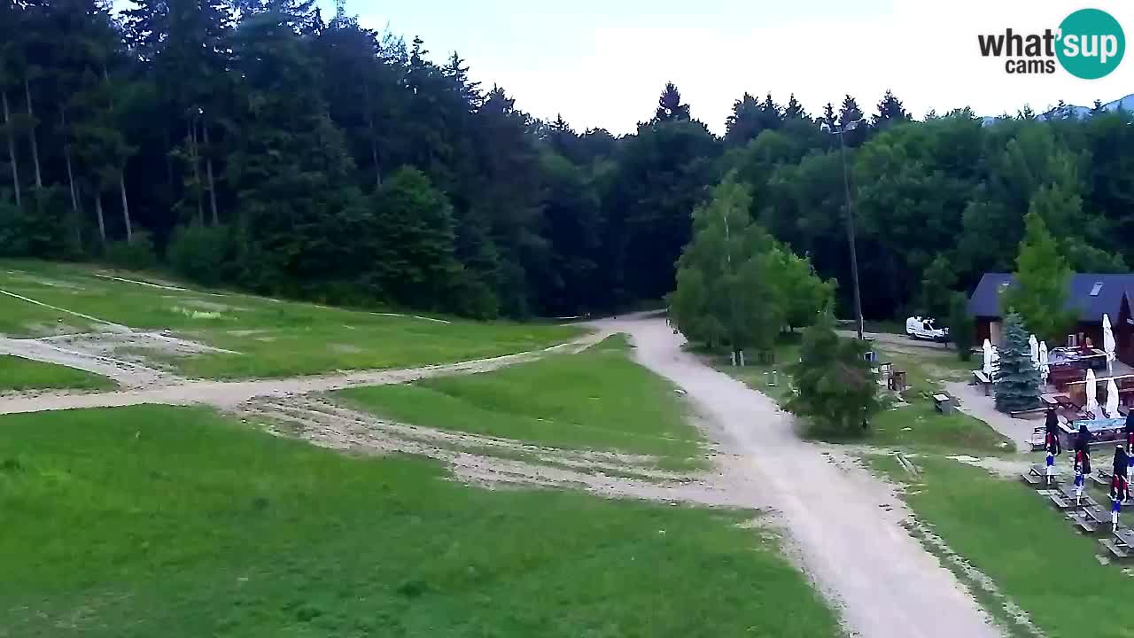 Webcam Pohorje Trikotna Jasa | Poštela