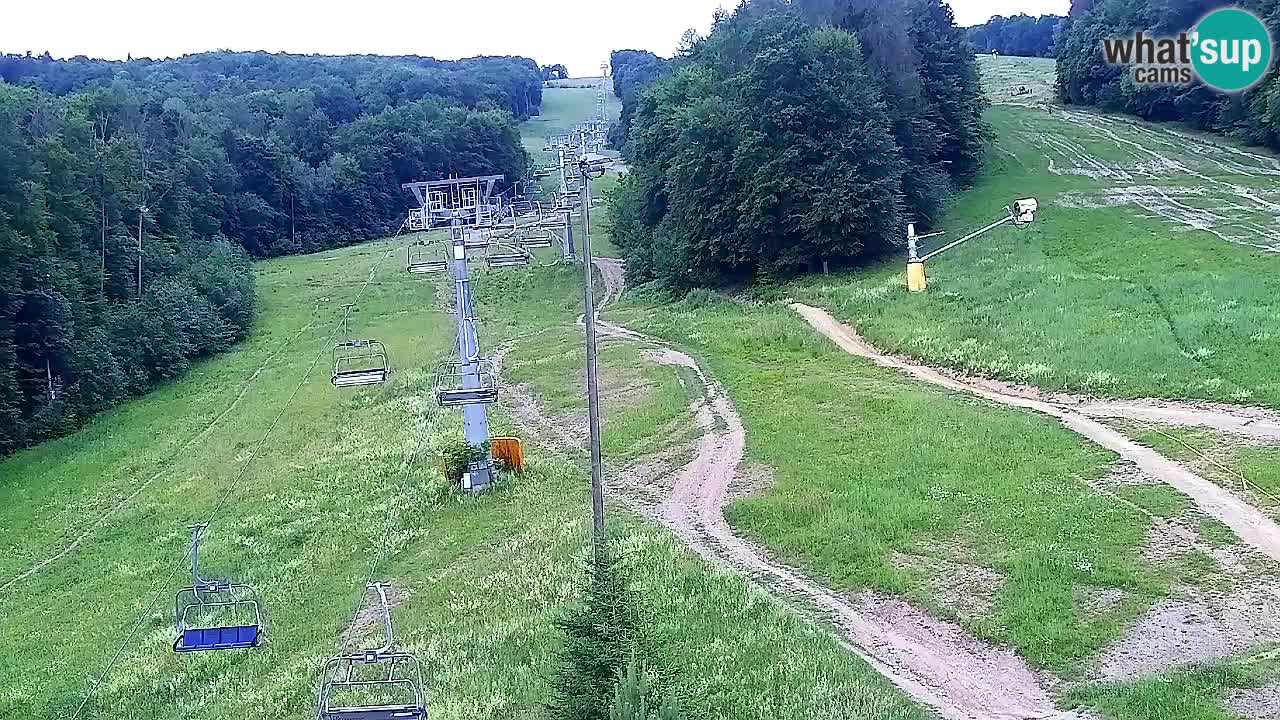 Webcam Pohorje Trikotna Jasa | Poštela