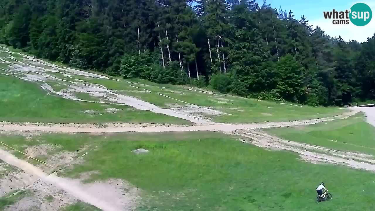 Webcam Pohorje Trikotna Jasa | Poštela