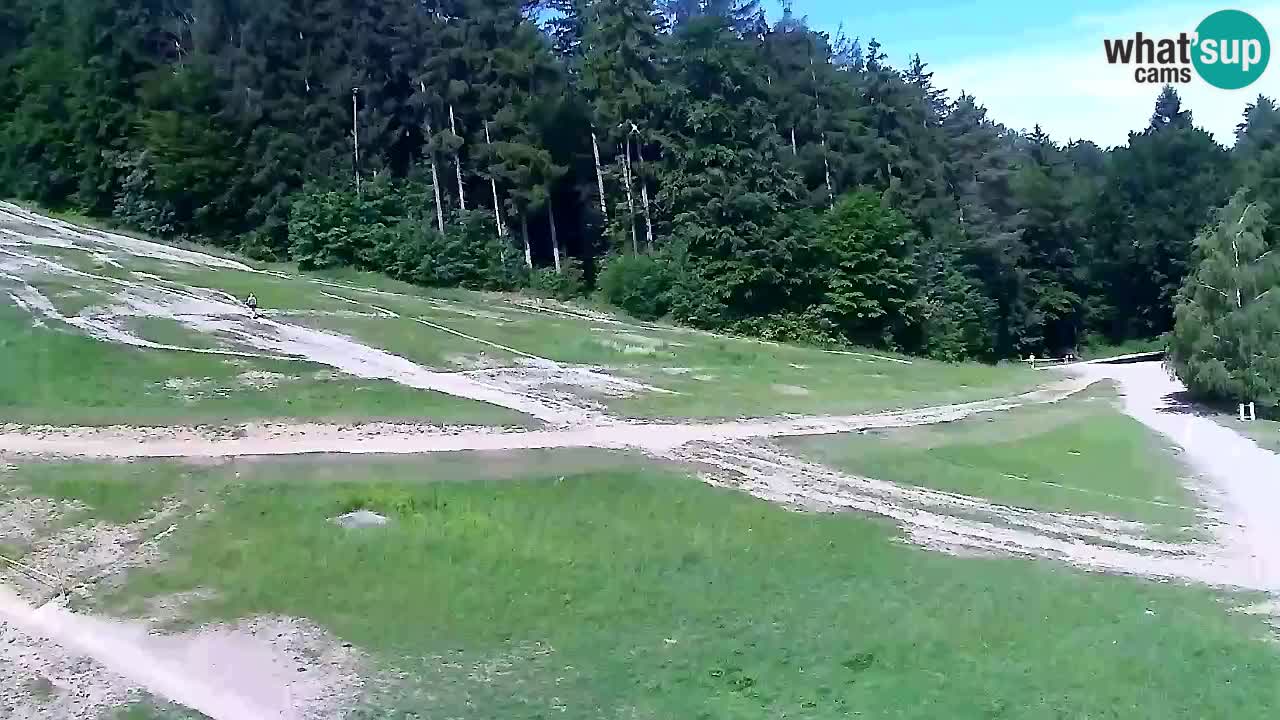 Webcam Pohorje Trikotna Jasa | Poštela