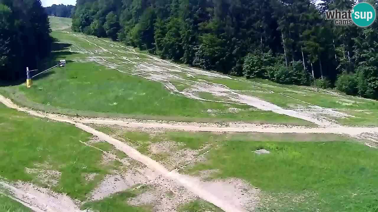 Webcam Pohorje Trikotna Jasa | Poštela