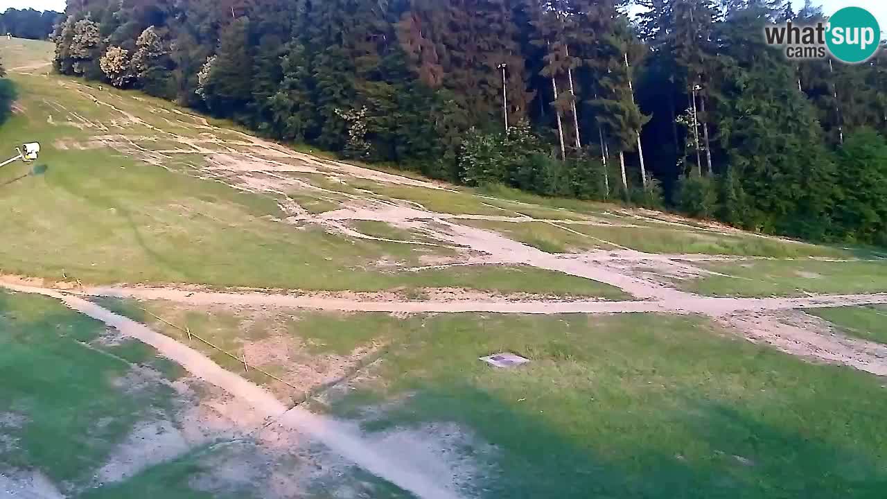 Webcam Pohorje Trikotna Jasa | Poštela
