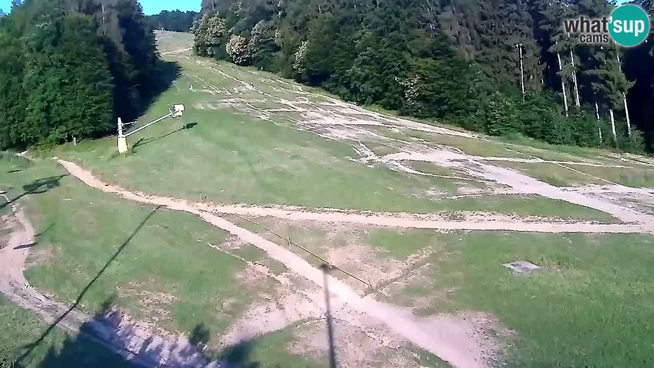 Webcam Pohorje Trikotna Jasa | Poštela