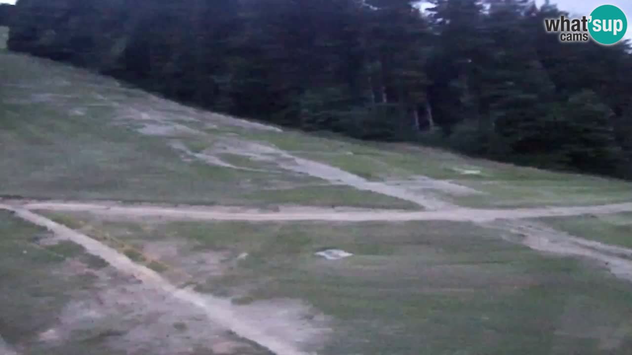 Webcam Pohorje Trikotna Jasa | Poštela