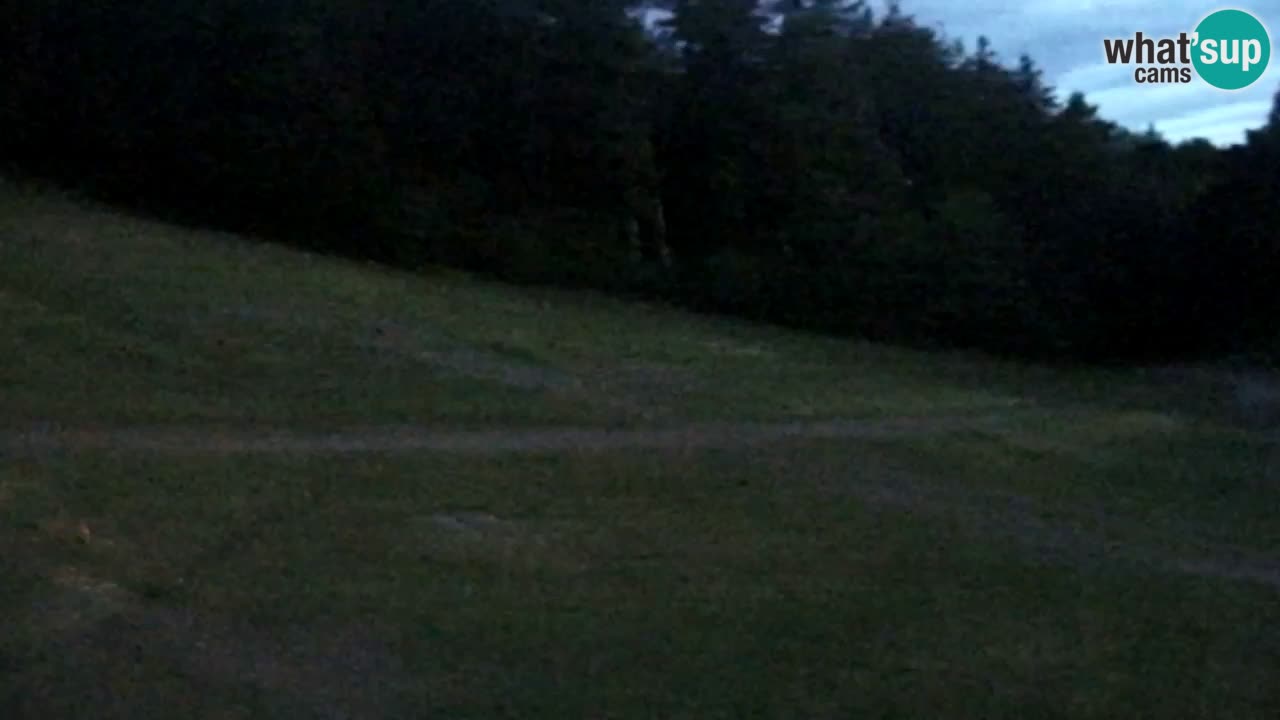 Web Camera Pohorje Trikotna Jasa | Poštela