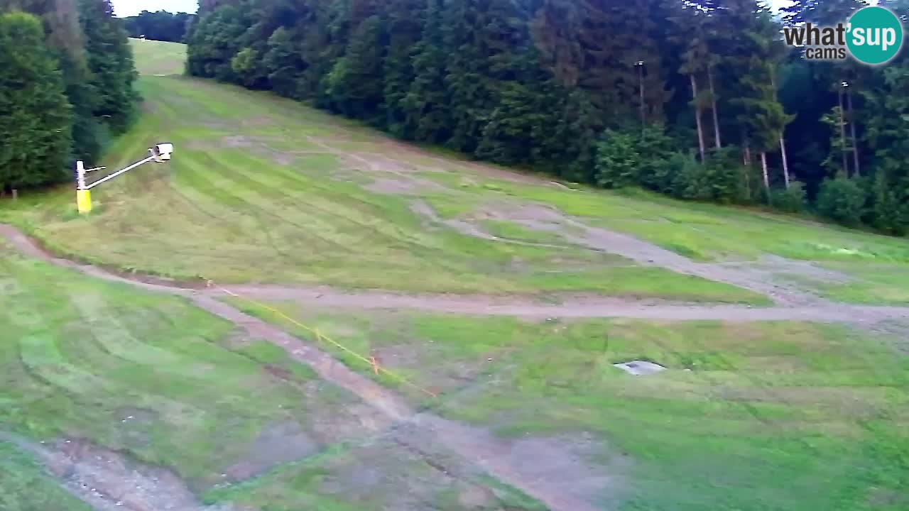 Webcam Pohorje Trikotna Jasa | Poštela