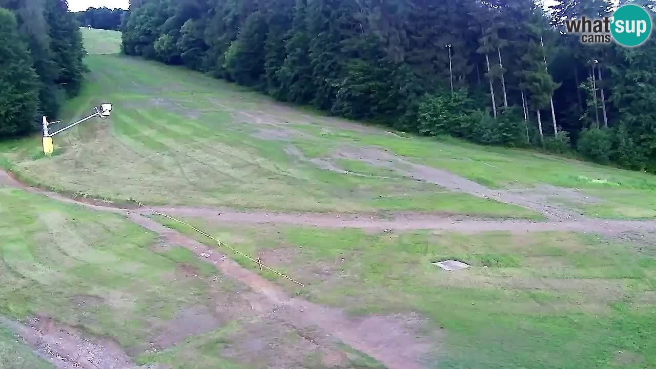 Webcam Pohorje Trikotna Jasa | Poštela