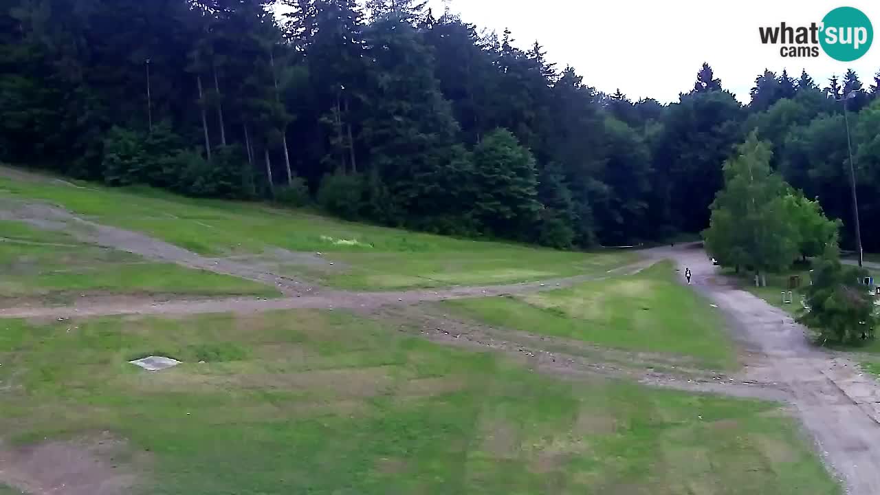 Webcam Pohorje Trikotna Jasa | Poštela