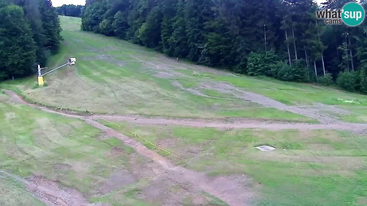Webcam Pohorje Trikotna Jasa | Poštela