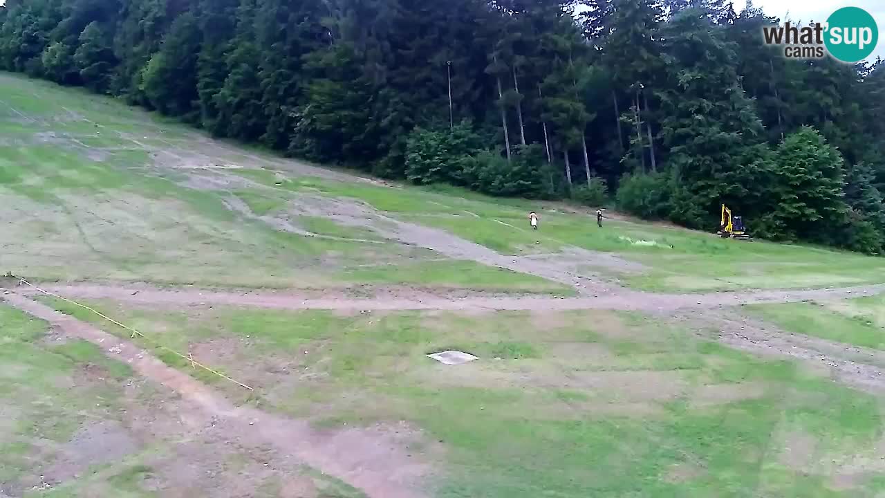 Webcam Pohorje Trikotna Jasa | Poštela