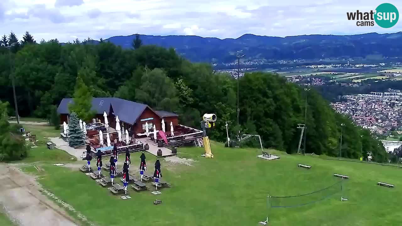 Webcam Pohorje Trikotna Jasa | Poštela