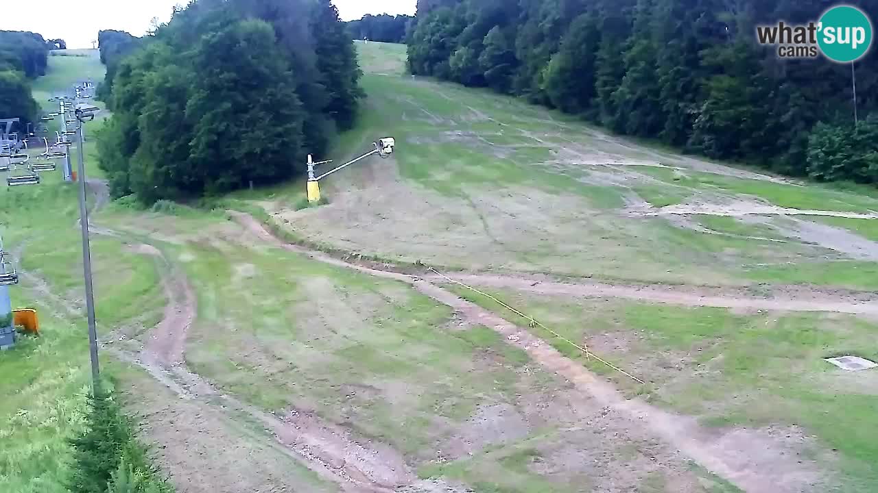 Webcam Pohorje Trikotna Jasa | Poštela