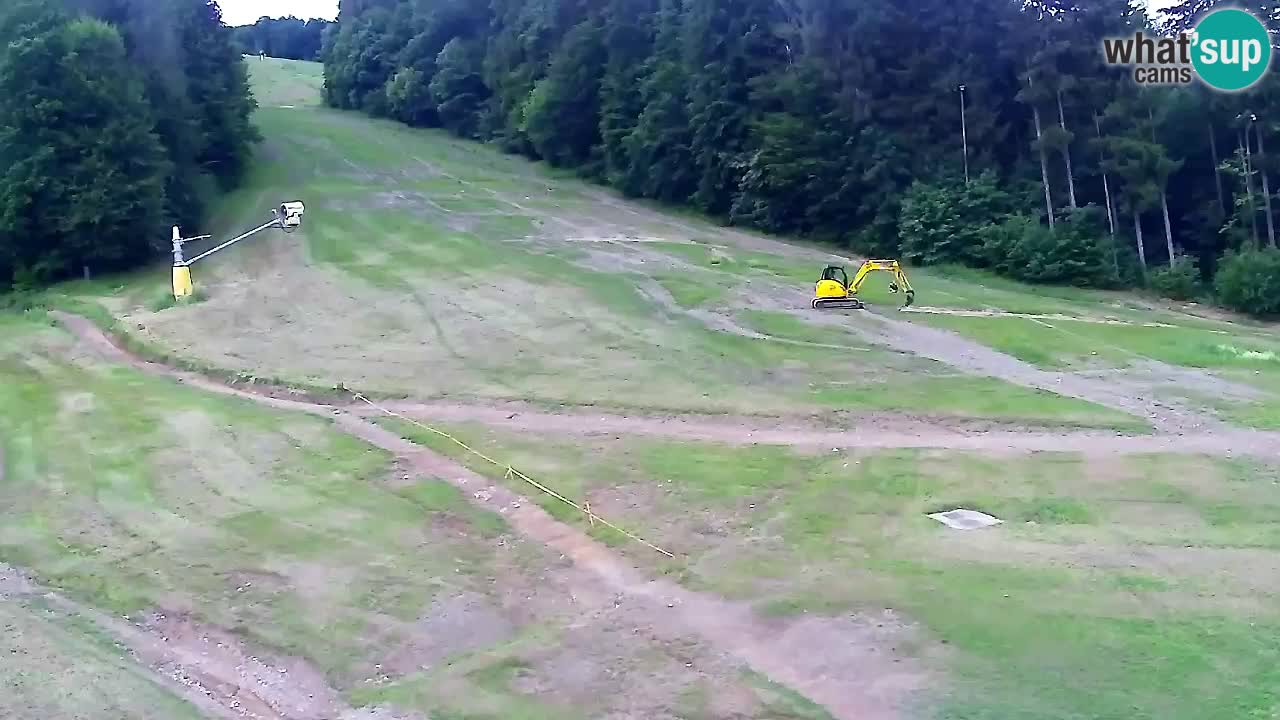 Webcam Pohorje Trikotna Jasa | Poštela