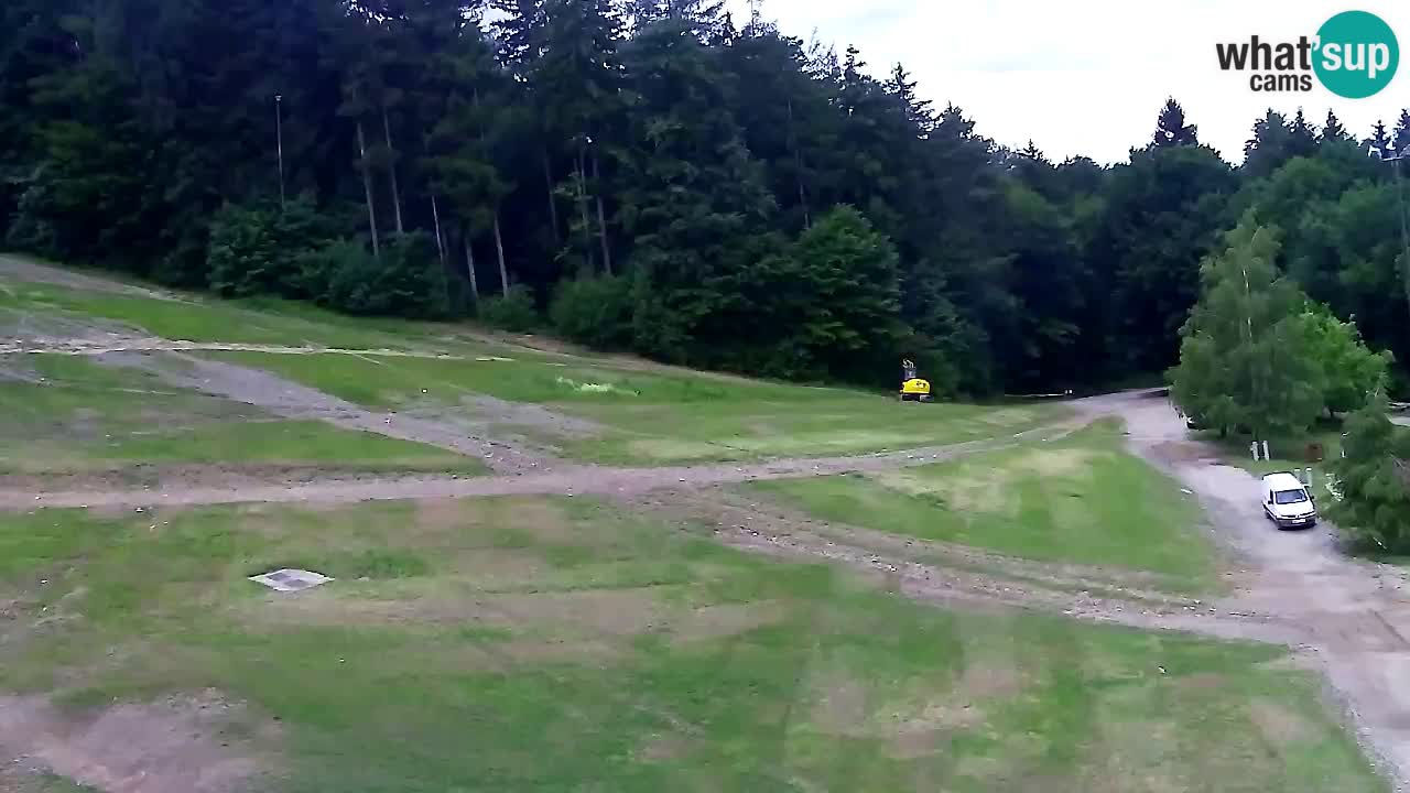 Webcam Pohorje Trikotna Jasa | Poštela