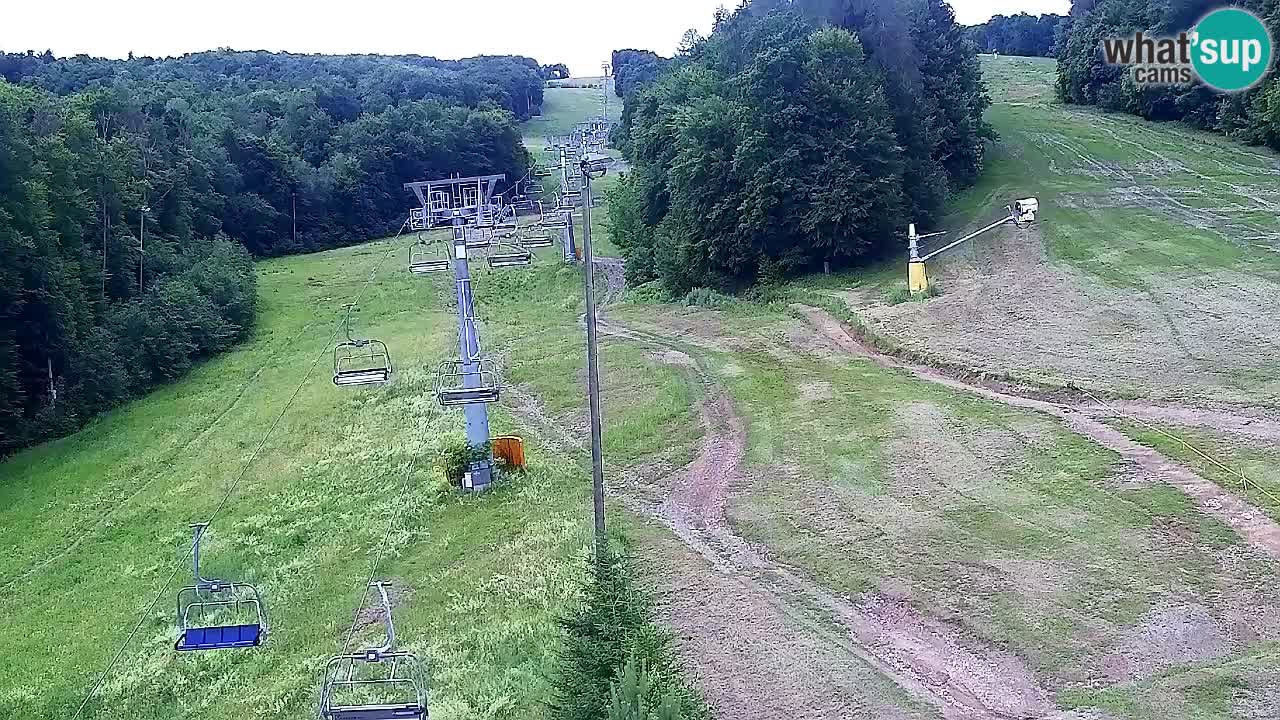 Web Camera Pohorje Trikotna Jasa | Poštela
