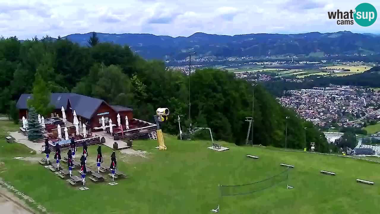 Webcam Pohorje Trikotna Jasa | Poštela