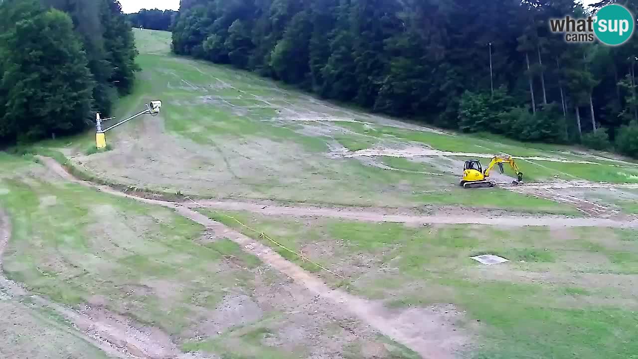 Webcam Pohorje Trikotna Jasa | Poštela