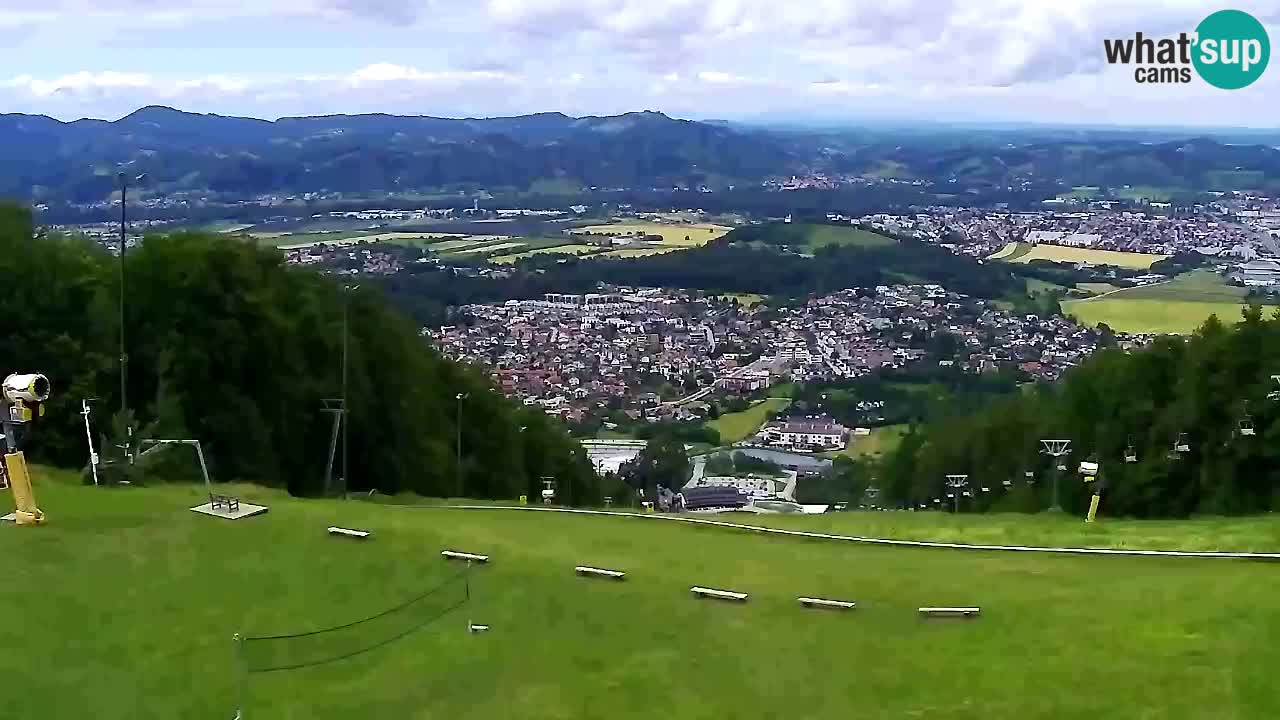 Webcam Pohorje Trikotna Jasa | Poštela