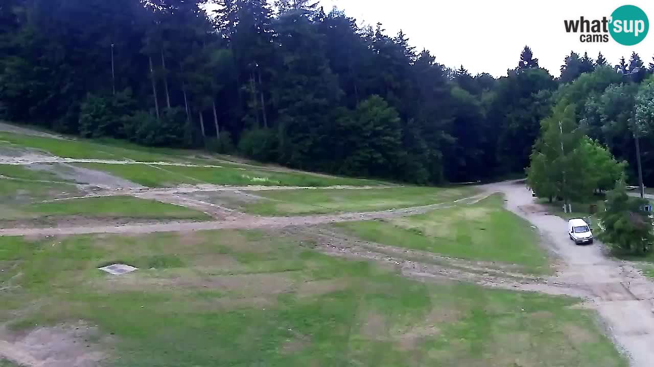 Webcam Pohorje Trikotna Jasa | Poštela