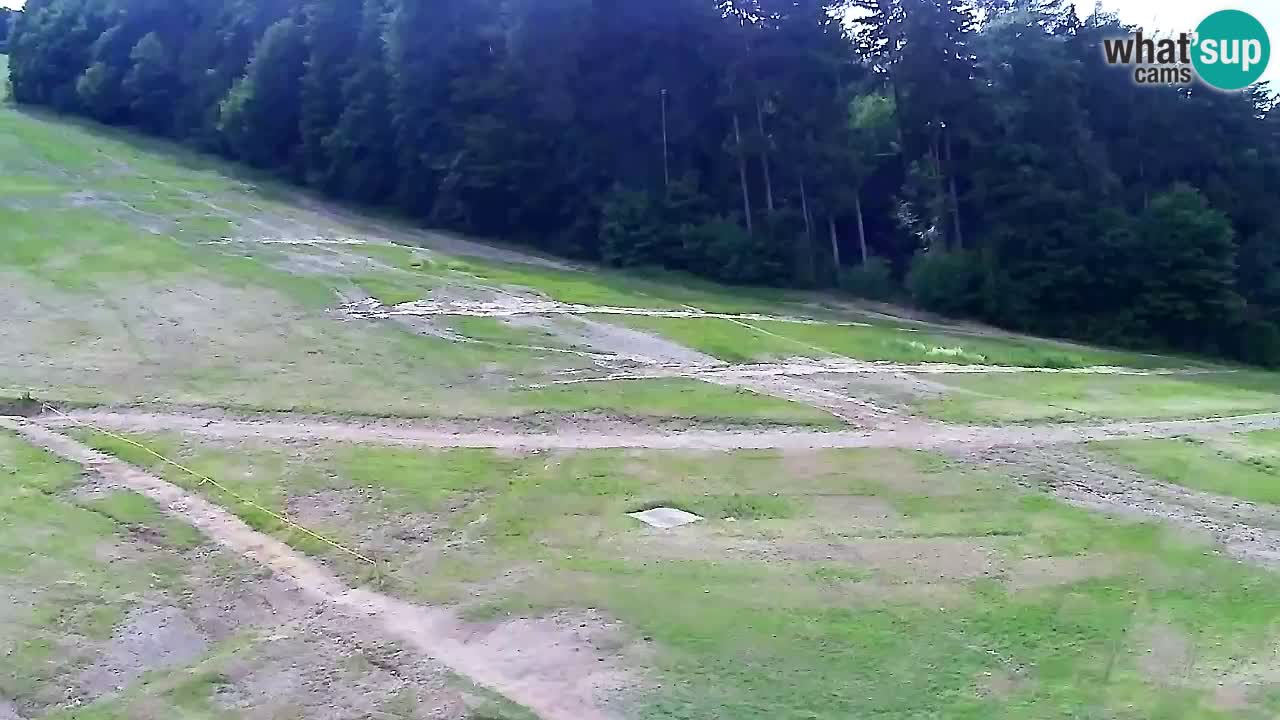 Webcam Pohorje Trikotna Jasa | Poštela