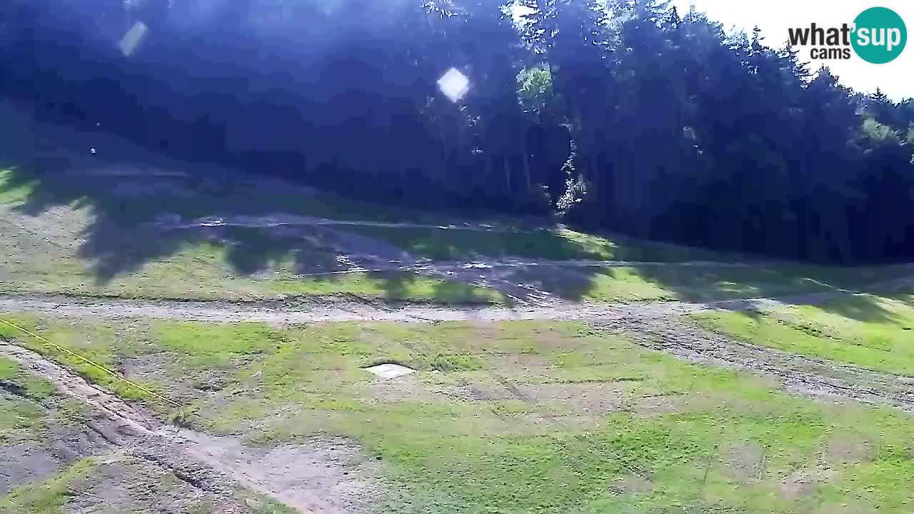 Webcam Pohorje Trikotna Jasa | Poštela